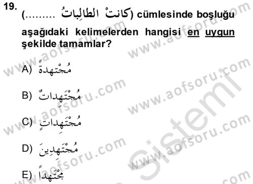 Arapça 2 Dersi 2014 - 2015 Yılı Tek Ders Sınav Soruları 19. Soru