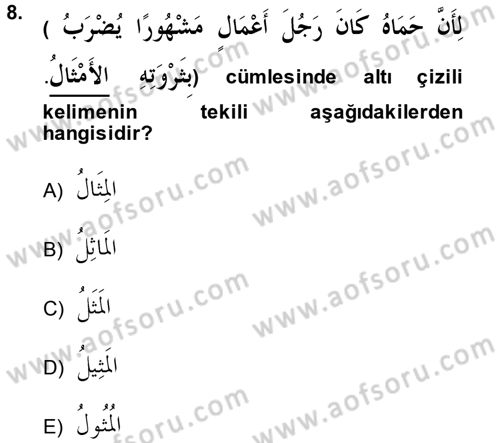 Arapça 2 Dersi 2014 - 2015 Yılı Tek Ders Sınav Soruları 8. Soru