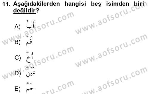 Arapça 2 Dersi 2015 - 2016 Yılı (Vize) Ara Sınav Soruları 11. Soru