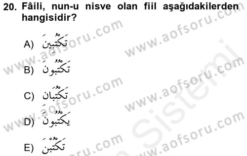 Arapça 2 Dersi 2015 - 2016 Yılı (Vize) Ara Sınav Soruları 20. Soru