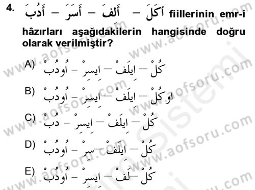 Arapça 2 Dersi 2015 - 2016 Yılı (Vize) Ara Sınav Soruları 4. Soru