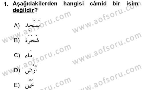 Arapça 2 Dersi 2015 - 2016 Yılı (Final) Dönem Sonu Sınav Soruları 1. Soru