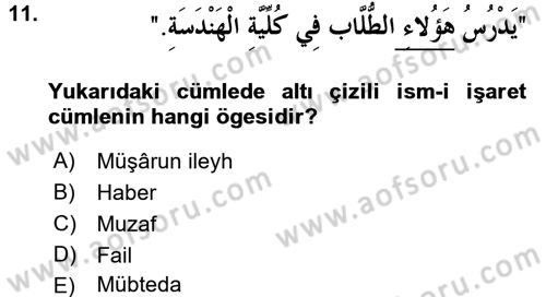 Arapça 2 Dersi 2015 - 2016 Yılı (Final) Dönem Sonu Sınav Soruları 11. Soru