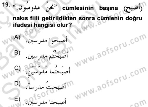 Arapça 2 Dersi 2015 - 2016 Yılı (Final) Dönem Sonu Sınav Soruları 19. Soru