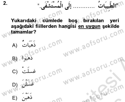 Arapça 2 Dersi 2015 - 2016 Yılı (Final) Dönem Sonu Sınav Soruları 2. Soru