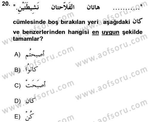 Arapça 2 Dersi 2015 - 2016 Yılı (Final) Dönem Sonu Sınav Soruları 20. Soru