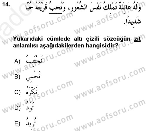 Arapça 2 Dersi 2015 - 2016 Yılı Tek Ders Sınav Soruları 14. Soru