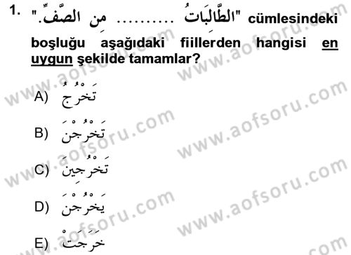 Arapça 2 Dersi 2016 - 2017 Yılı 3 Ders Sınav Soruları 1. Soru