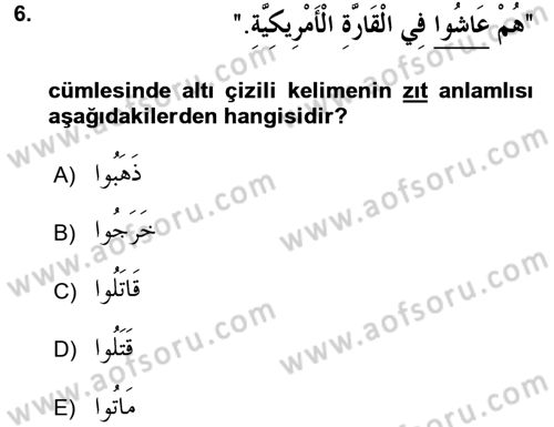 Arapça 2 Dersi 2016 - 2017 Yılı 3 Ders Sınav Soruları 6. Soru