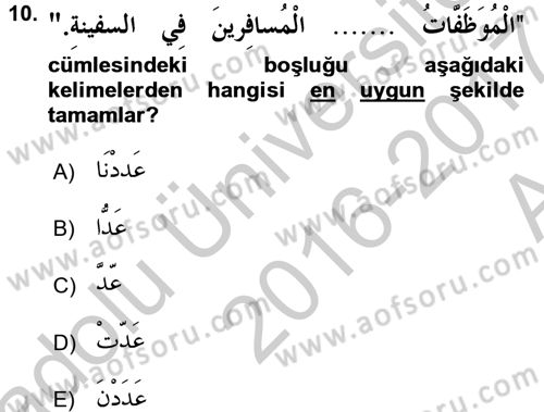 Arapça 2 Dersi 2016 - 2017 Yılı (Vize) Ara Sınav Soruları 10. Soru