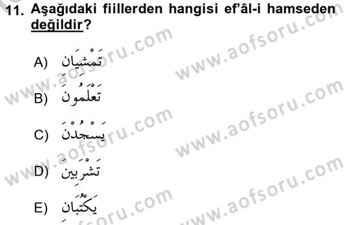 Arapça 2 Dersi 2016 - 2017 Yılı (Vize) Ara Sınav Soruları 11. Soru
