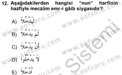 Arapça 2 Dersi 2016 - 2017 Yılı (Vize) Ara Sınav Soruları 12. Soru