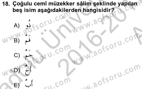 Arapça 2 Dersi 2016 - 2017 Yılı (Vize) Ara Sınav Soruları 18. Soru
