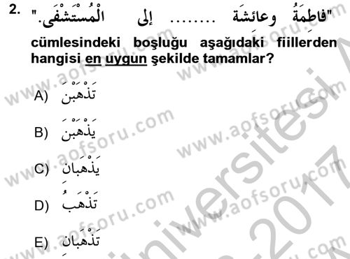 Arapça 2 Dersi 2016 - 2017 Yılı (Vize) Ara Sınav Soruları 2. Soru