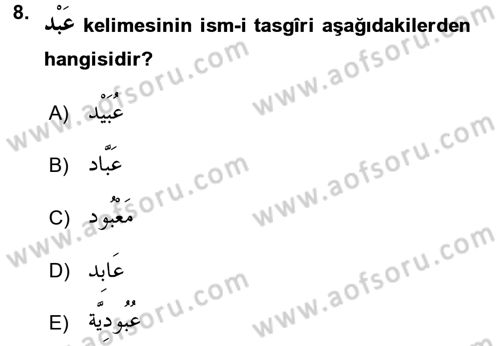 Arapça 2 Dersi 2016 - 2017 Yılı (Vize) Ara Sınav Soruları 8. Soru