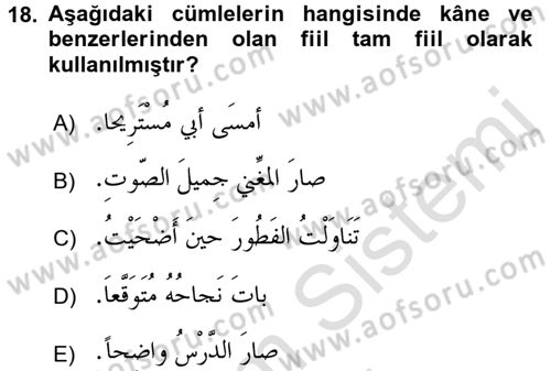 Arapça 2 Dersi 2016 - 2017 Yılı (Final) Dönem Sonu Sınav Soruları 18. Soru