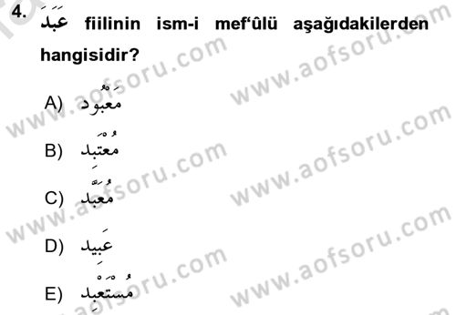 Arapça 2 Dersi 2016 - 2017 Yılı (Final) Dönem Sonu Sınav Soruları 4. Soru
