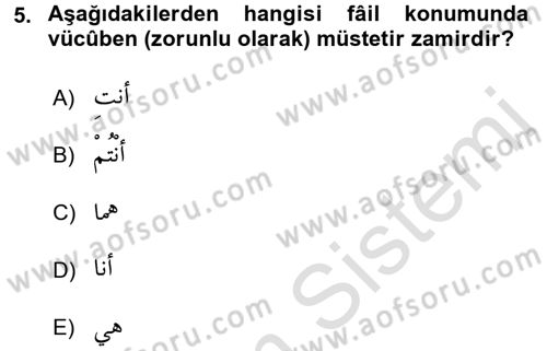 Arapça 2 Dersi 2016 - 2017 Yılı (Final) Dönem Sonu Sınav Soruları 5. Soru