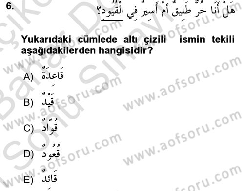 Arapça 2 Dersi 2016 - 2017 Yılı (Final) Dönem Sonu Sınav Soruları 6. Soru