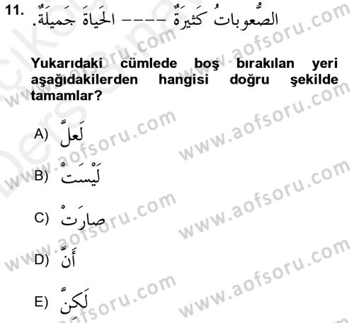 Arapça 2 Dersi 2017 - 2018 Yılı 3 Ders Sınav Soruları 11. Soru