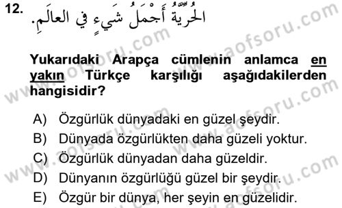 Arapça 2 Dersi 2017 - 2018 Yılı 3 Ders Sınav Soruları 12. Soru