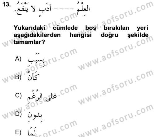 Arapça 2 Dersi 2017 - 2018 Yılı 3 Ders Sınav Soruları 13. Soru