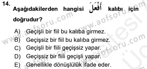 Arapça 2 Dersi 2017 - 2018 Yılı 3 Ders Sınav Soruları 14. Soru
