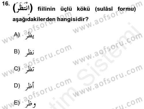 Arapça 2 Dersi 2017 - 2018 Yılı 3 Ders Sınav Soruları 16. Soru