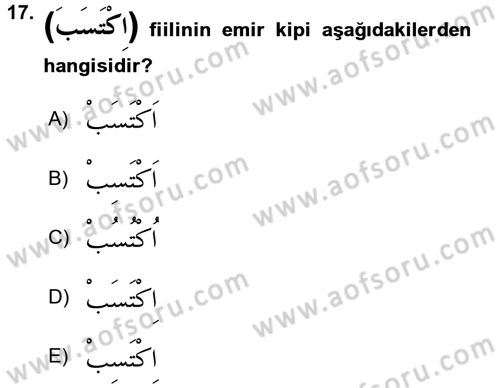 Arapça 2 Dersi 2017 - 2018 Yılı 3 Ders Sınav Soruları 17. Soru