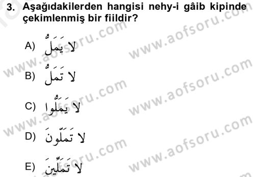 Arapça 2 Dersi 2017 - 2018 Yılı 3 Ders Sınav Soruları 3. Soru