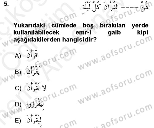 Arapça 2 Dersi 2017 - 2018 Yılı (Vize) Ara Sınav Soruları 5. Soru