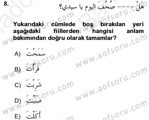 Arapça 2 Dersi 2017 - 2018 Yılı (Vize) Ara Sınav Soruları 8. Soru