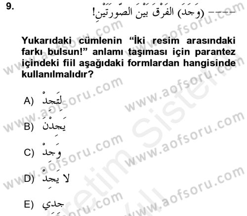 Arapça 2 Dersi 2017 - 2018 Yılı (Vize) Ara Sınav Soruları 9. Soru