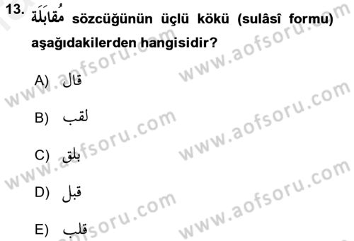 Arapça 2 Dersi 2017 - 2018 Yılı (Final) Dönem Sonu Sınav Soruları 13. Soru