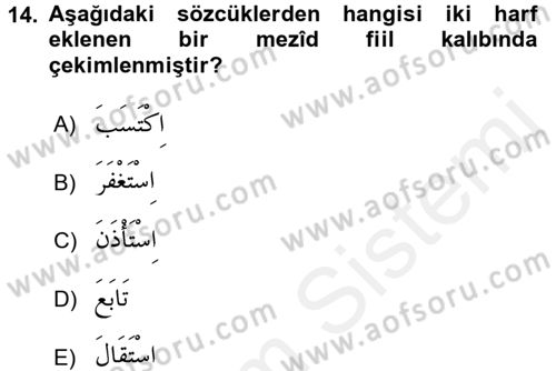Arapça 2 Dersi 2017 - 2018 Yılı (Final) Dönem Sonu Sınav Soruları 14. Soru