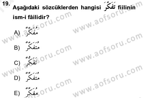 Arapça 2 Dersi 2017 - 2018 Yılı (Final) Dönem Sonu Sınav Soruları 19. Soru