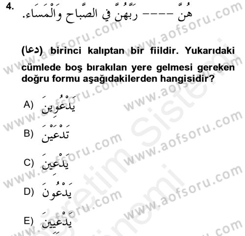 Arapça 2 Dersi 2017 - 2018 Yılı (Final) Dönem Sonu Sınav Soruları 4. Soru