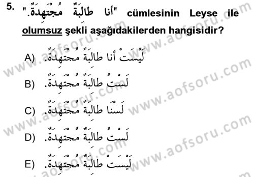 Arapça 2 Dersi 2017 - 2018 Yılı (Final) Dönem Sonu Sınav Soruları 5. Soru