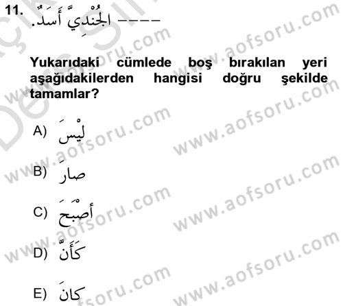 Arapça 2 Dersi 2018 - 2019 Yılı 3 Ders Sınav Soruları 11. Soru