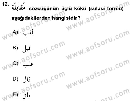 Arapça 2 Dersi 2018 - 2019 Yılı 3 Ders Sınav Soruları 12. Soru