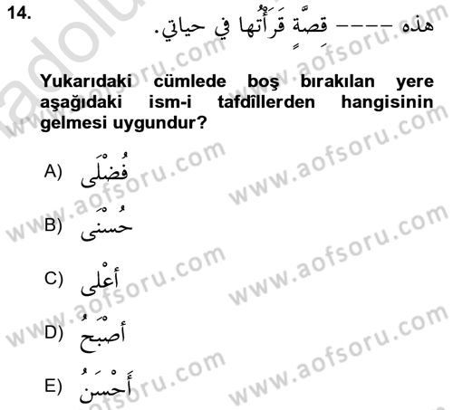 Arapça 2 Dersi 2018 - 2019 Yılı 3 Ders Sınav Soruları 14. Soru