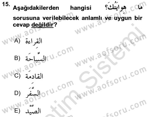 Arapça 2 Dersi 2018 - 2019 Yılı 3 Ders Sınav Soruları 15. Soru