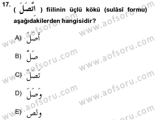 Arapça 2 Dersi 2018 - 2019 Yılı 3 Ders Sınav Soruları 17. Soru