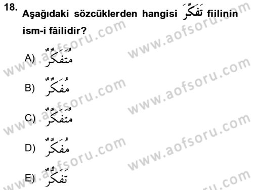 Arapça 2 Dersi 2018 - 2019 Yılı 3 Ders Sınav Soruları 18. Soru