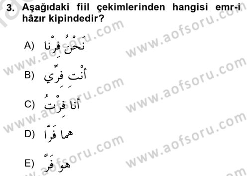 Arapça 2 Dersi 2018 - 2019 Yılı 3 Ders Sınav Soruları 3. Soru