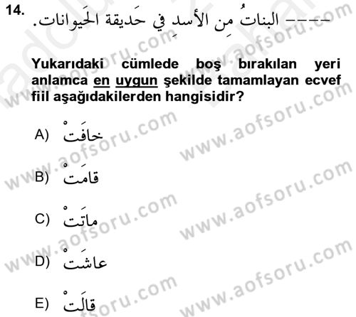 Arapça 2 Dersi 2018 - 2019 Yılı (Vize) Ara Sınav Soruları 14. Soru