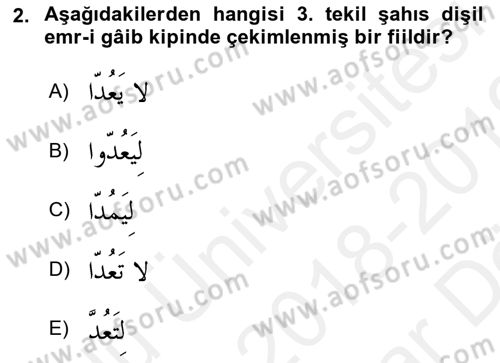 Arapça 2 Dersi 2018 - 2019 Yılı (Vize) Ara Sınav Soruları 2. Soru