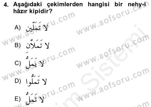 Arapça 2 Dersi 2018 - 2019 Yılı (Vize) Ara Sınav Soruları 4. Soru