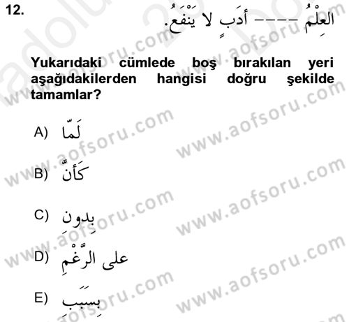 Arapça 2 Dersi 2018 - 2019 Yılı (Final) Dönem Sonu Sınav Soruları 12. Soru