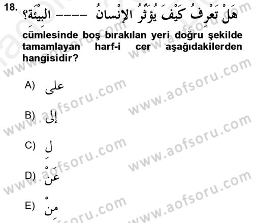 Arapça 2 Dersi 2018 - 2019 Yılı (Final) Dönem Sonu Sınav Soruları 18. Soru